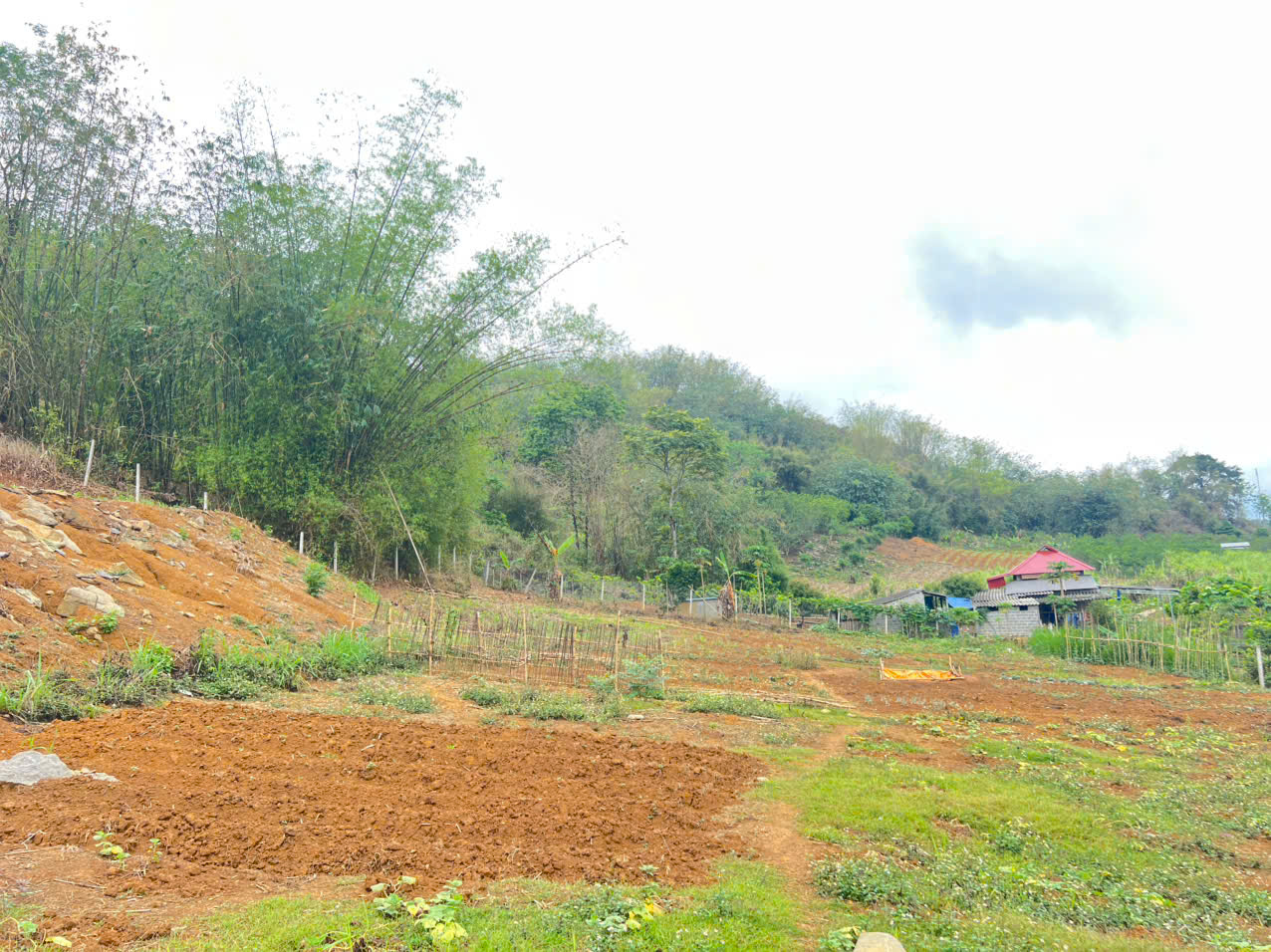 Cần bán 1000M2 full thổ cư bám đường bê tông to_tiện ích đầy đủ Cao Phong_Hoà Bình_1,x tỷ - Ảnh 1
